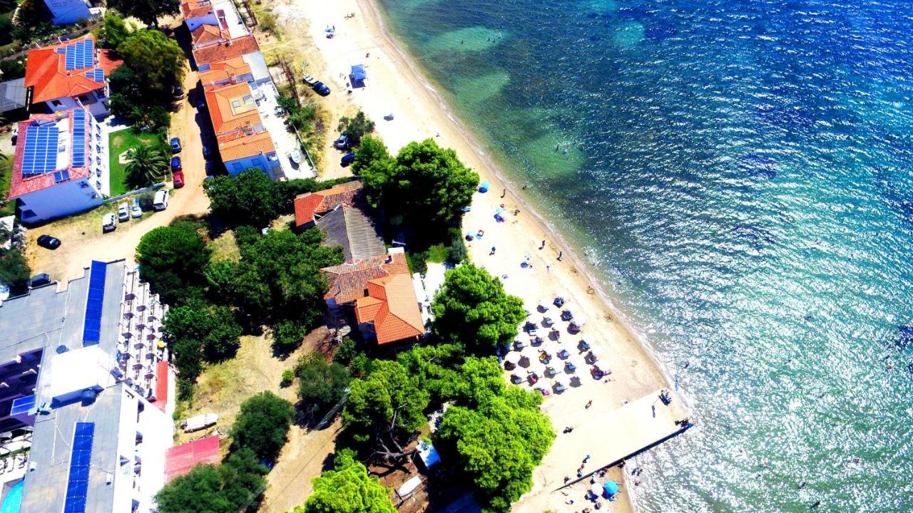 Golden Beach Hotel เมตามอร์โฟซี ภายนอก รูปภาพ