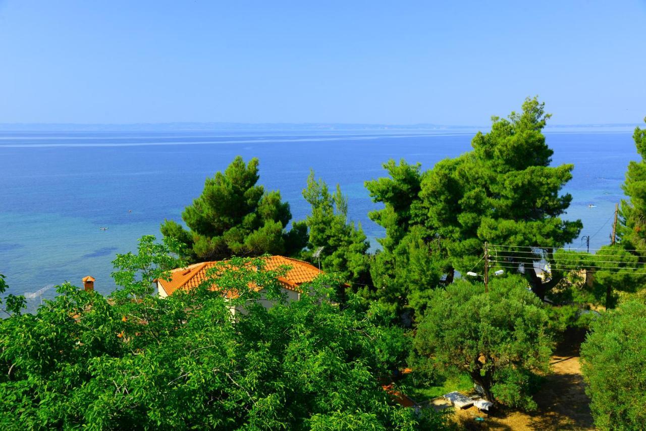 Golden Beach Hotel เมตามอร์โฟซี ภายนอก รูปภาพ